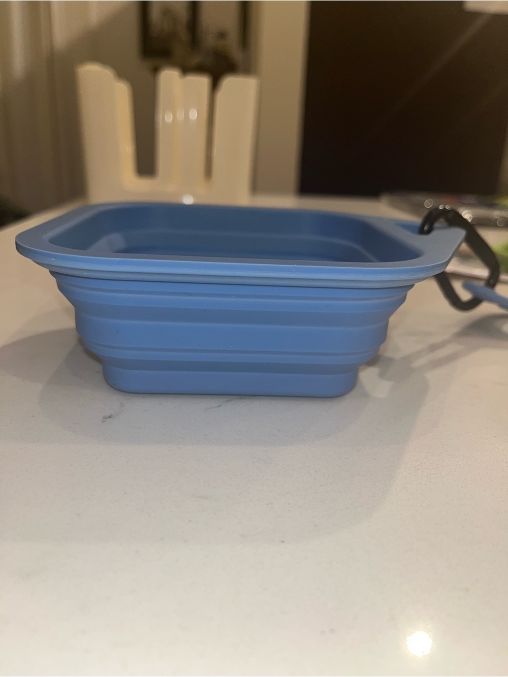 Collapsible 15 oz Silicone Travel Pet Bowls - Blue and Green set